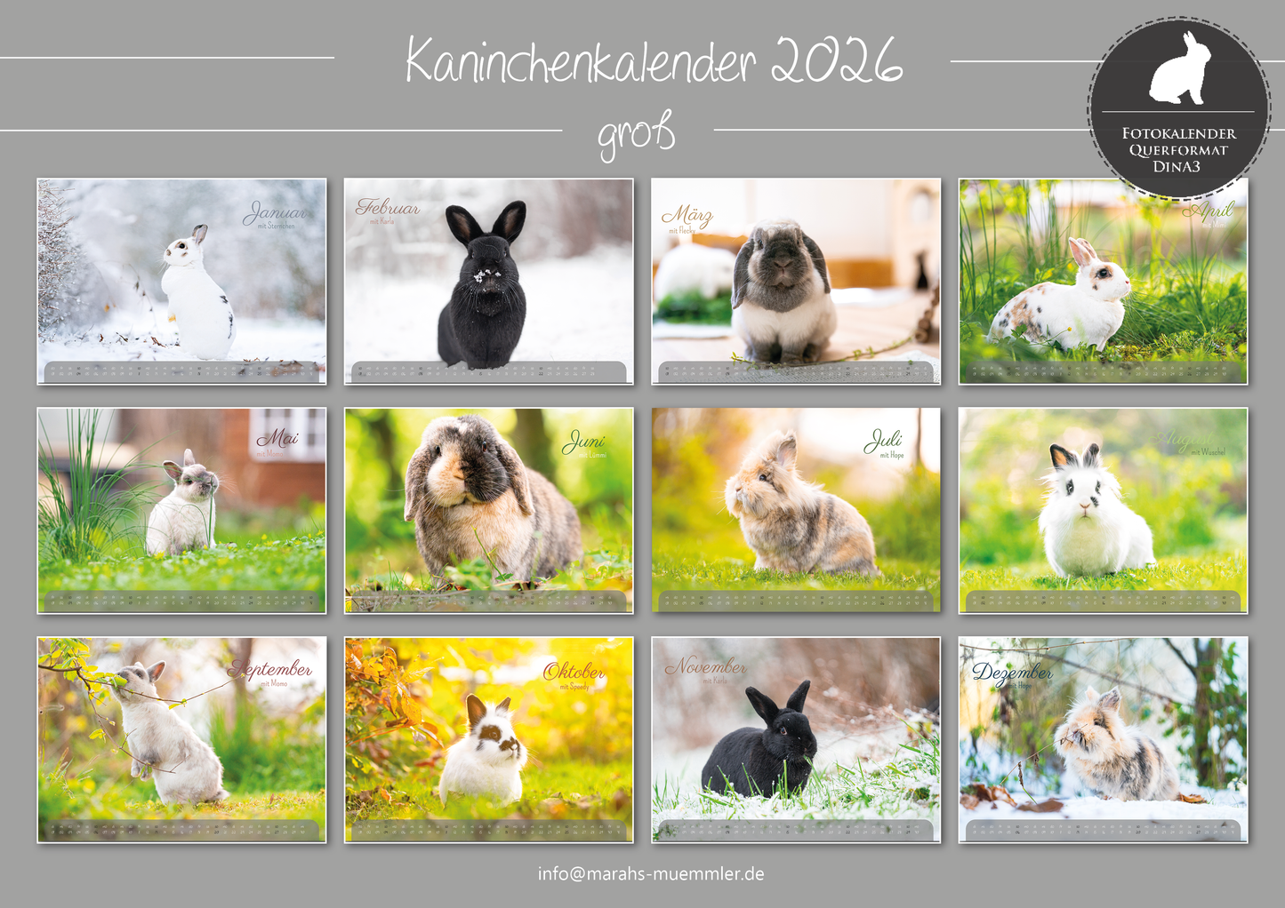 Kaninchen A3 Kalender 2026