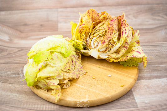 Radicchio variegato
