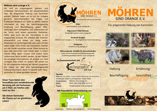 Kostenlose Flyer - Möhren sind Orange