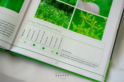 Kräuterguide Band III Doldenblütlerspezial Beispiel wichtiger Unterscheidungsmerkmale